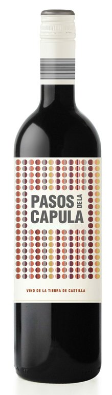 Pasos de la Capula Syrah BIO