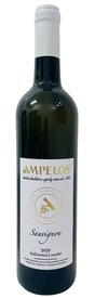 Sauvignon kabinetní 2020