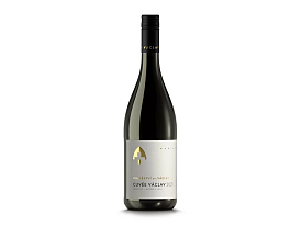 Cuvée Václav 2021