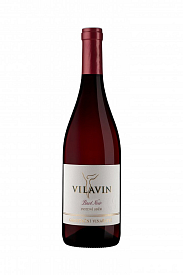 Pinot Noir pozdní sběr 2020
