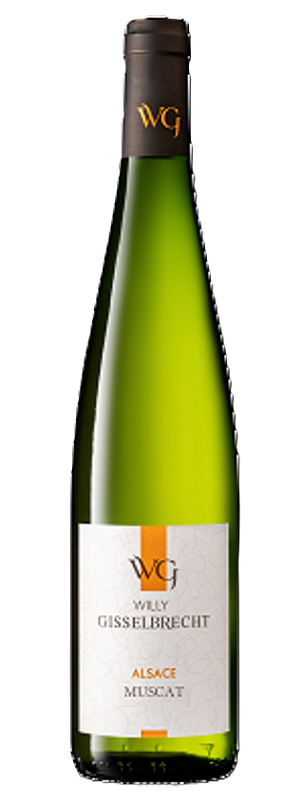 Gisselbrecht Muscat 2023
